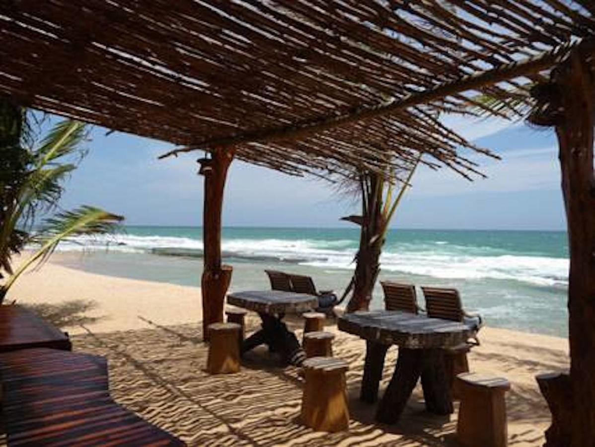 红树林海滩小屋酒店 坦加拉 外观 照片